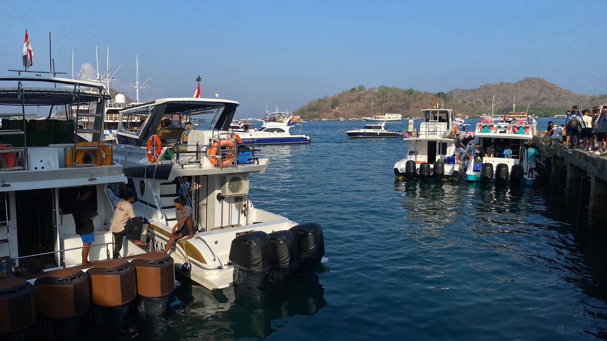Daily Sharing Speedboat thumbnail 6